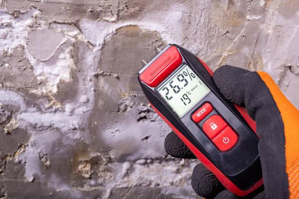 Best Residential Mold Remediation in Thomas, OK