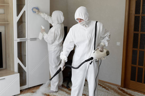 Best Residential Mold Remediation in Thomas, OK