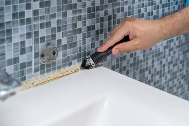 Best Black Mold Remediation in Thomas, OK